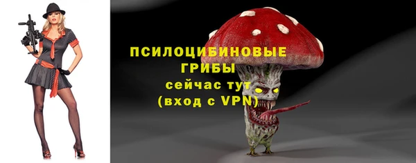 МДМА Бородино