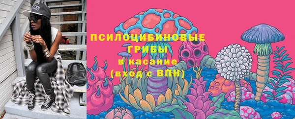 ешки Бронницы
