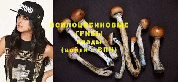 МДМА Бородино